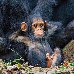 Meet your Posher, Maritza